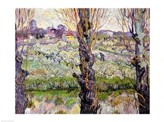 Posterazzi View of Arles 1889 Canvas Art - Vincent Van Gogh (36 x 24)