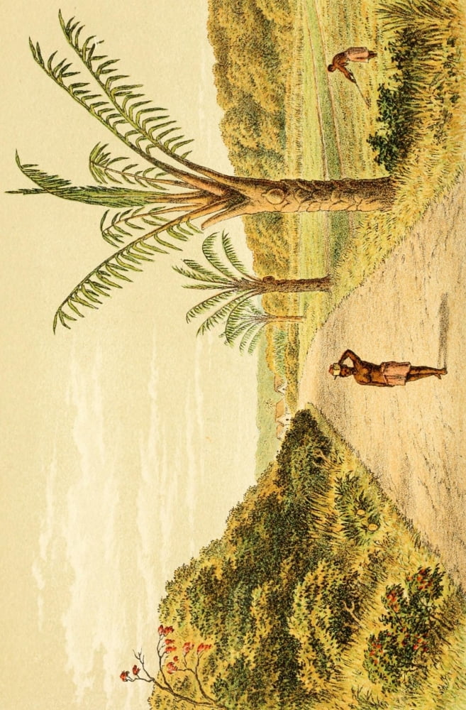 Posterazzi Vincent Brooks Lith The First Ascent of the Kasai 1889 On the road to Kassenge Canvas Art - Vincent Brooks Lith (24 x 36)