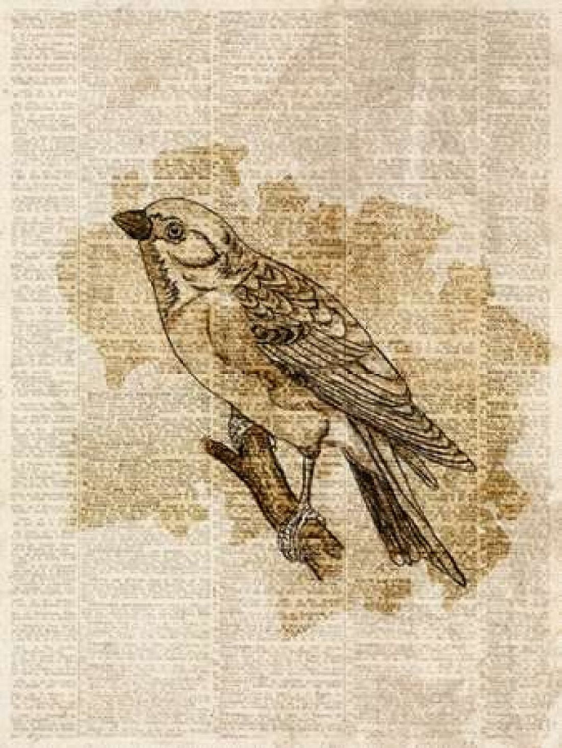 Posterazzi Vintage Bird I Canvas Art - Sd Graphics Studio (18 x 24)