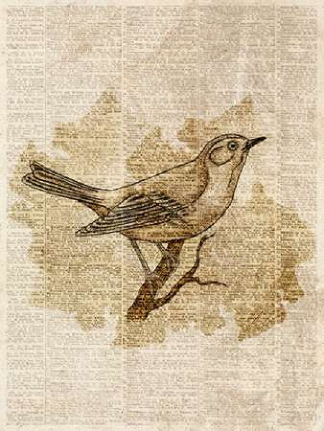 Posterazzi Vintage Bird II Canvas Art - Sd Graphics Studio (18 x 24)