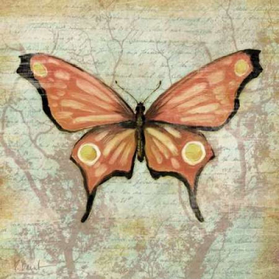 Posterazzi Vintage Butterflies I Canvas Art - Paul Brent (24 x 24)
