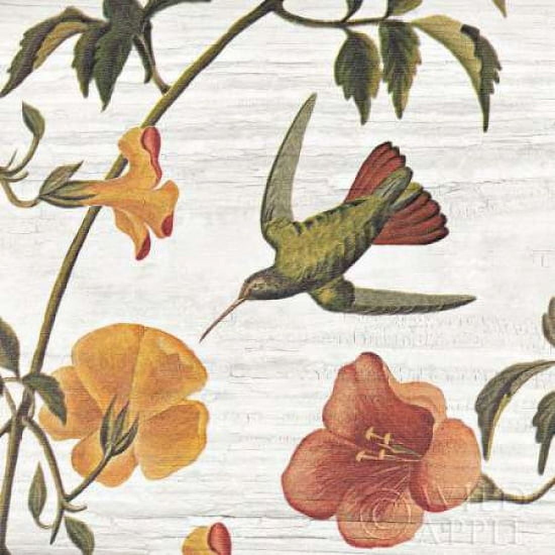 Posterazzi Vintage Hummingbird I Canvas Art - Wild Apple Portfolio (24 x 24)