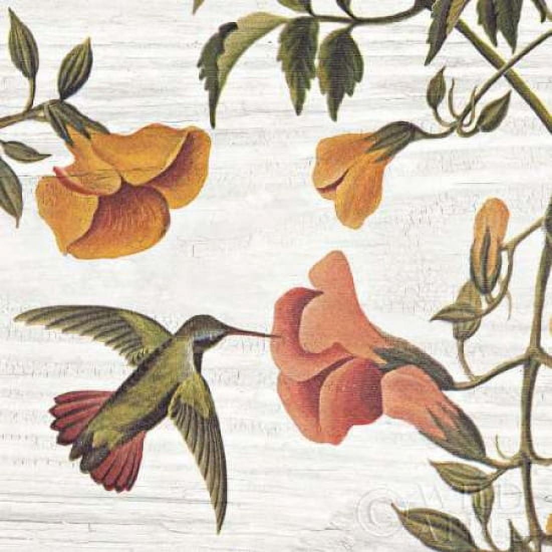 Posterazzi Vintage Hummingbird II Canvas Art - Wild Apple Portfolio (24 x 24)