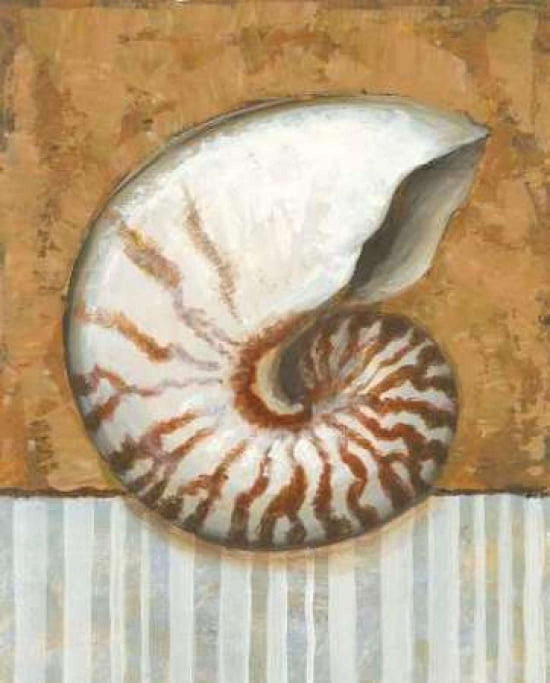 Posterazzi Vintage Shell I Canvas Art - K Bates (20 x 24)