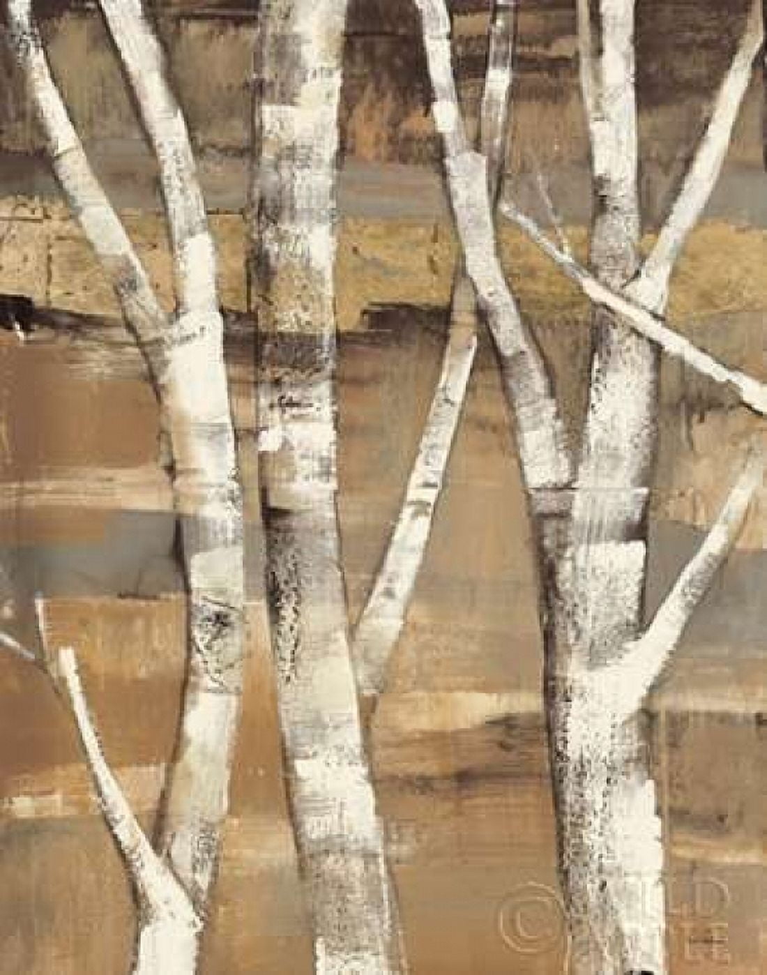 Posterazzi Wandering Through the Birches I Canvas Art - Albena Hristova (22 x 28)