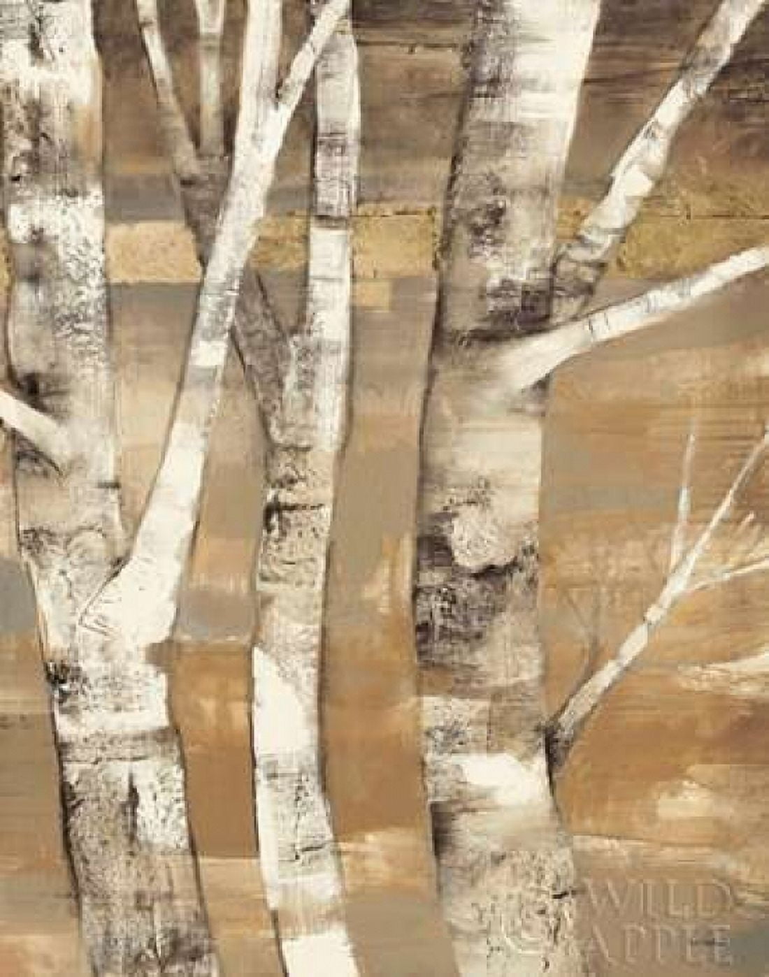 Posterazzi Wandering Through the Birches II Canvas Art - Albena Hristova (22 x 28)