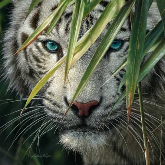 Posterazzi Watching and Waiting Canvas Art - Colin Bogle (24 x 24)