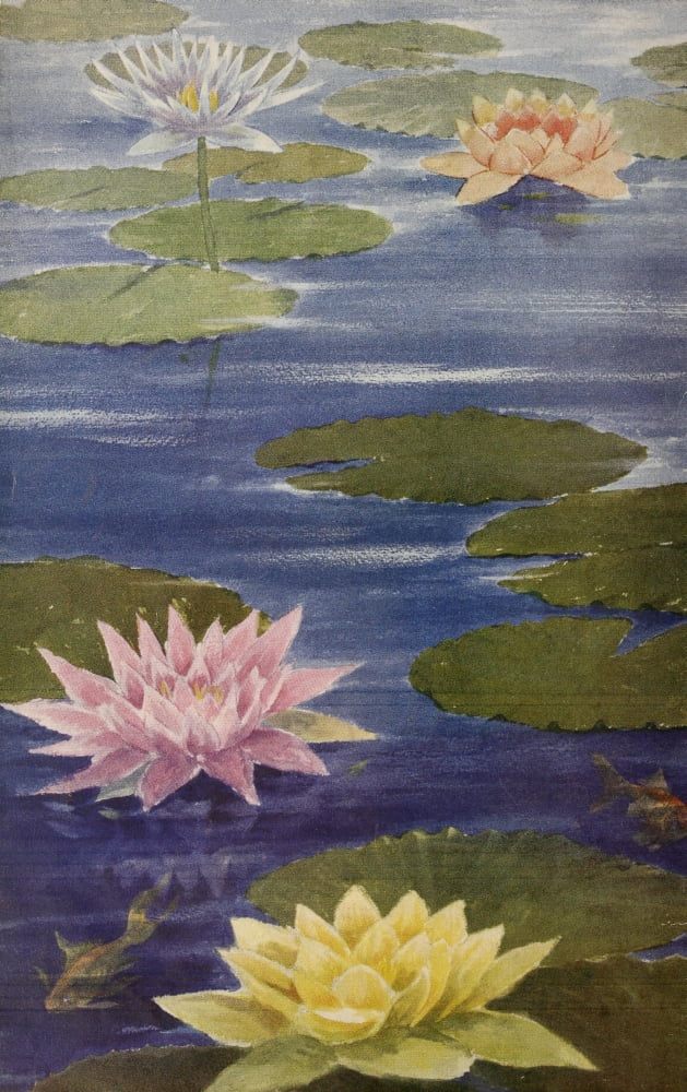 Posterazzi Water Gardening 1935 Water-lilies Canvas Art - Unknown (24 x 36)