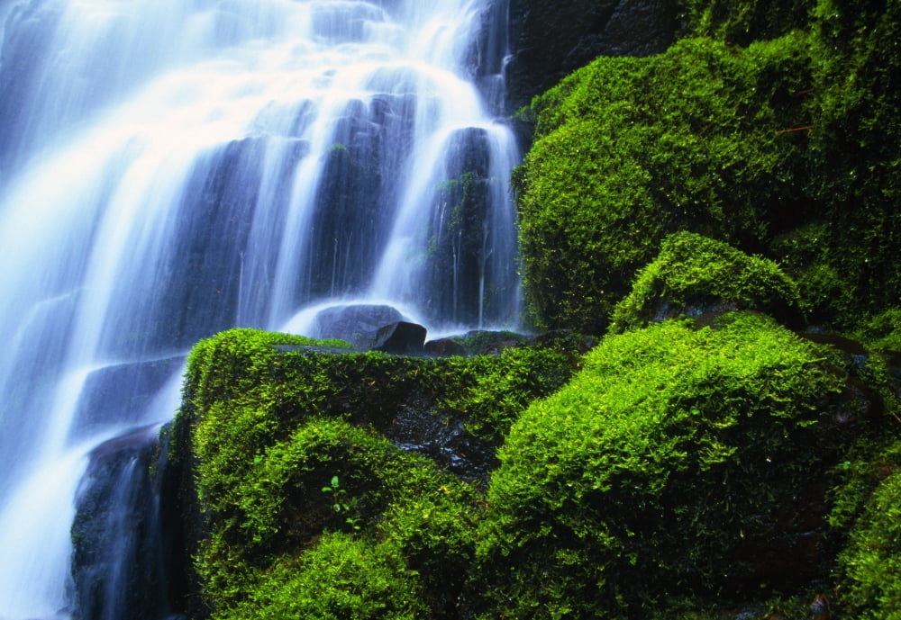 Posterazzi Waterfall On Wahkeena Creek Columbia River Gorge Canvas Art - Natural Selection Craig Tuttle Design Pics (36 x 24)