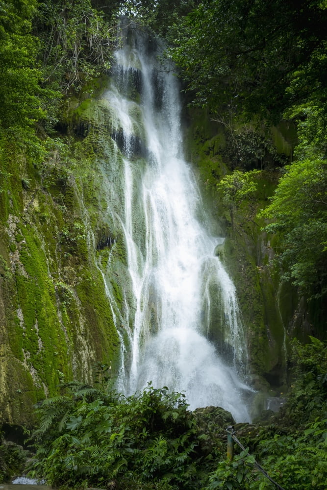 Posterazzi Waterfall over moss covered cliff Tanna Island Vanuatu Canvas Art - David Kirkland Design Pics (24 x 38)