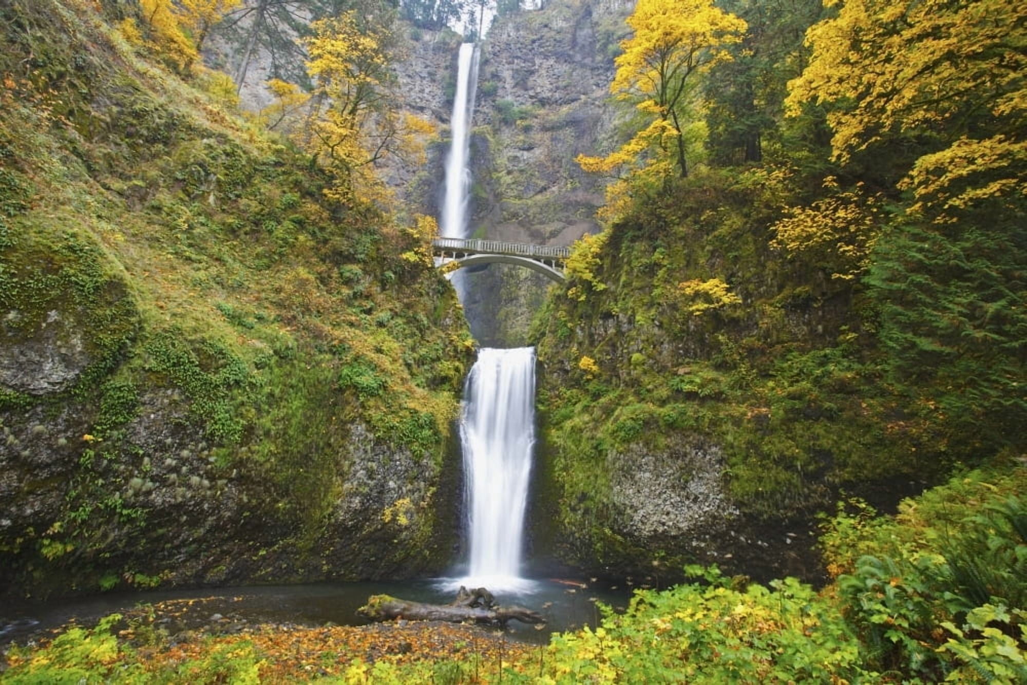 Posterazzi Waterfalls Falling Into A Pool Of Water In A Forested Area Canvas Art - Craig Tuttle Design Pics (38 x 24)