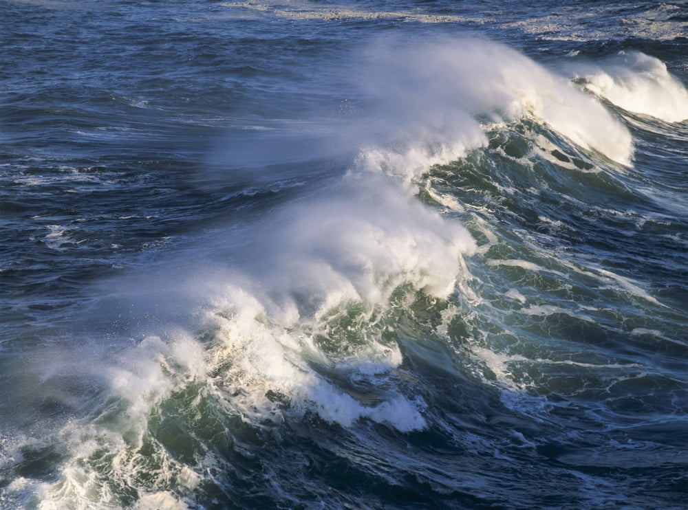 Posterazzi Wave breaking at Shore Acres State Park Charleston Oregon United States of America Canvas Art - Robert L Potts Design Pics (36 x 26)