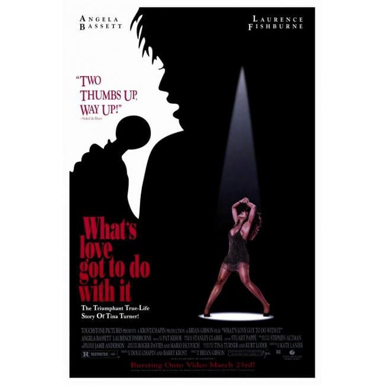 Posterazzi Whats Love Got to Do with It Movie Poster - 27 x 40 in