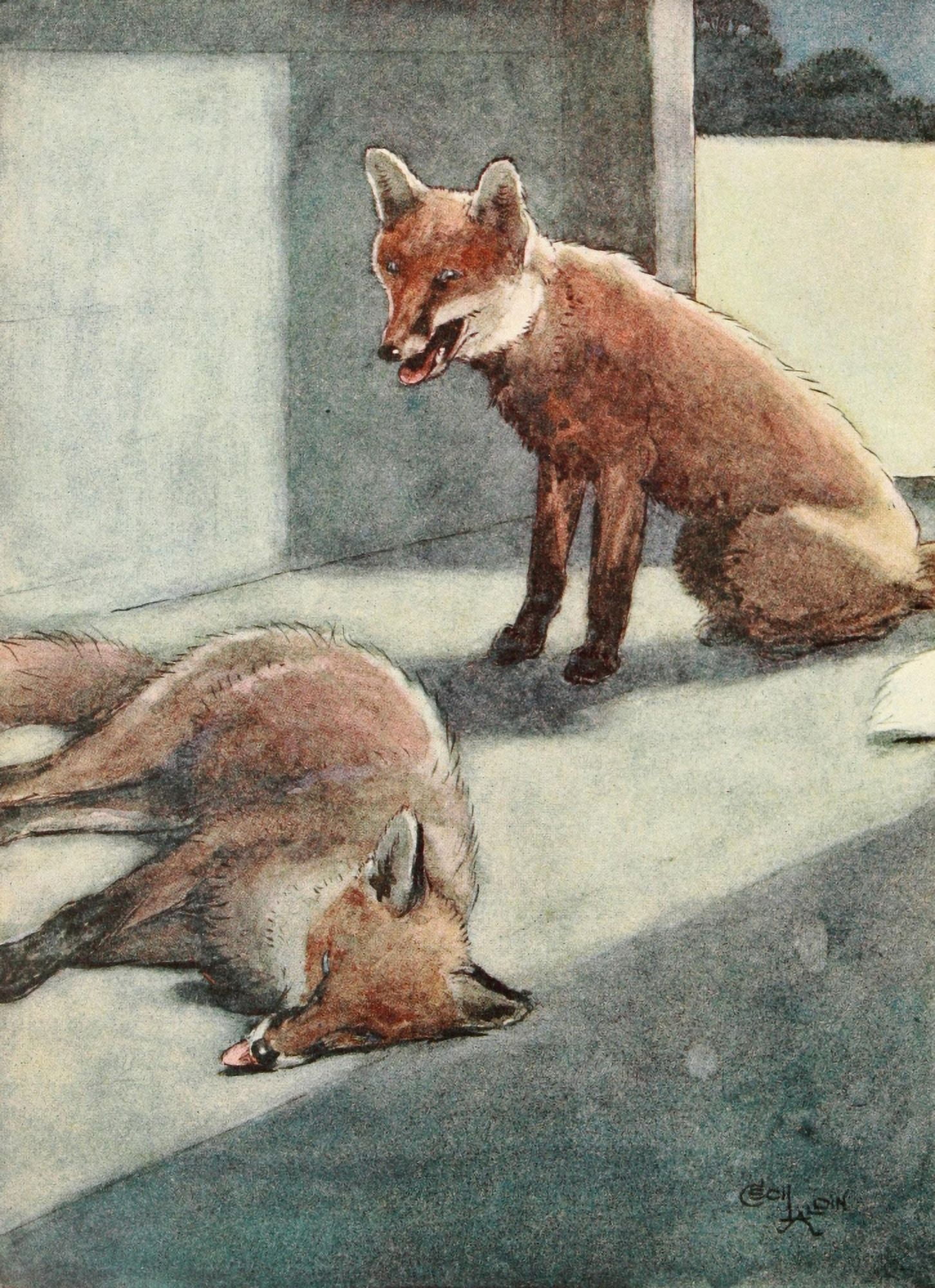 Posterazzi White Ear & Peter 1912 Exhausted Canvas Art - Cecil Aldin (24 x 36)