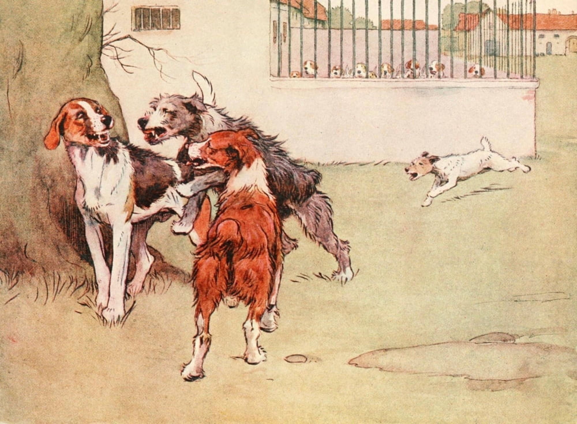 Posterazzi White Ear & Peter 1912 Getting excited Canvas Art - Cecil Aldin (24 x 36)