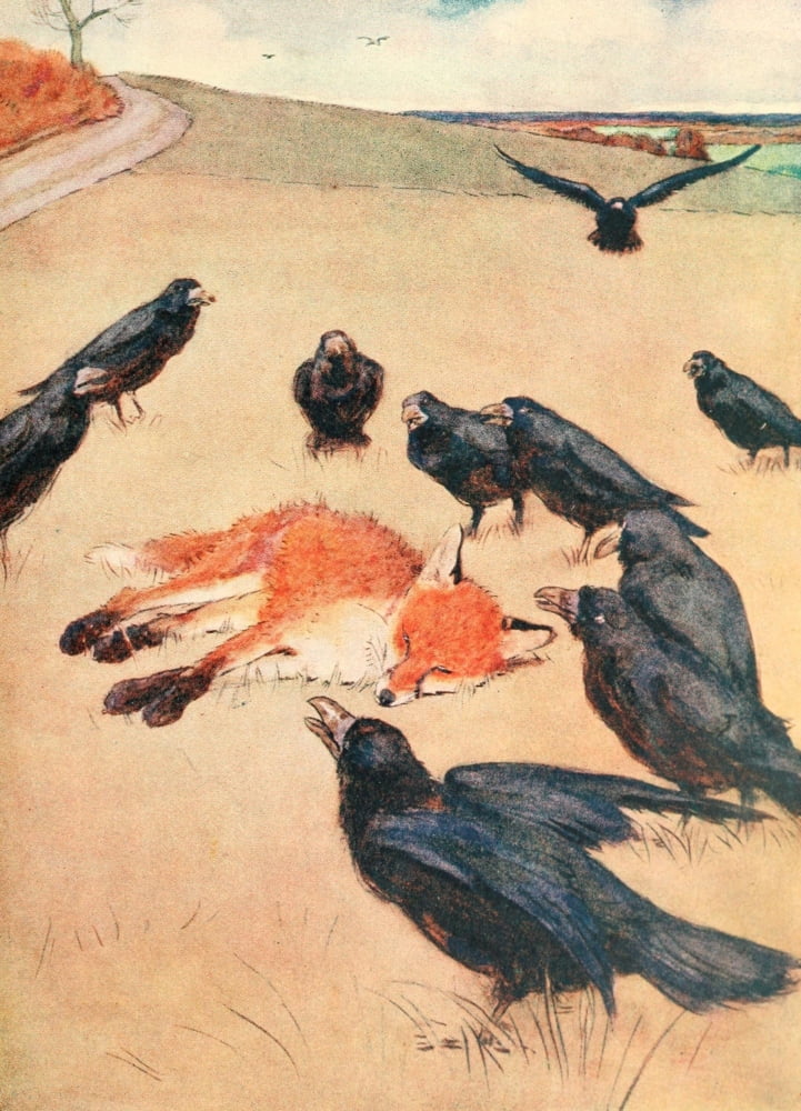 Posterazzi White Ear & Peter 1912 Poor fox Canvas Art - Cecil Aldin (24 x 36)