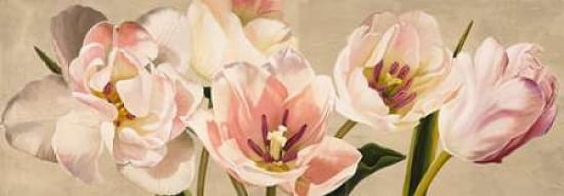 Posterazzi White Flowers Canvas Art - Luca Villa (10 x 20)