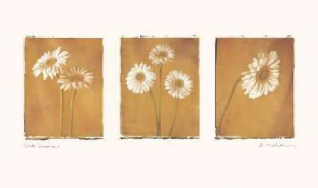 Posterazzi White Gerbers Canvas Art - Amy Melious (24 x 36)