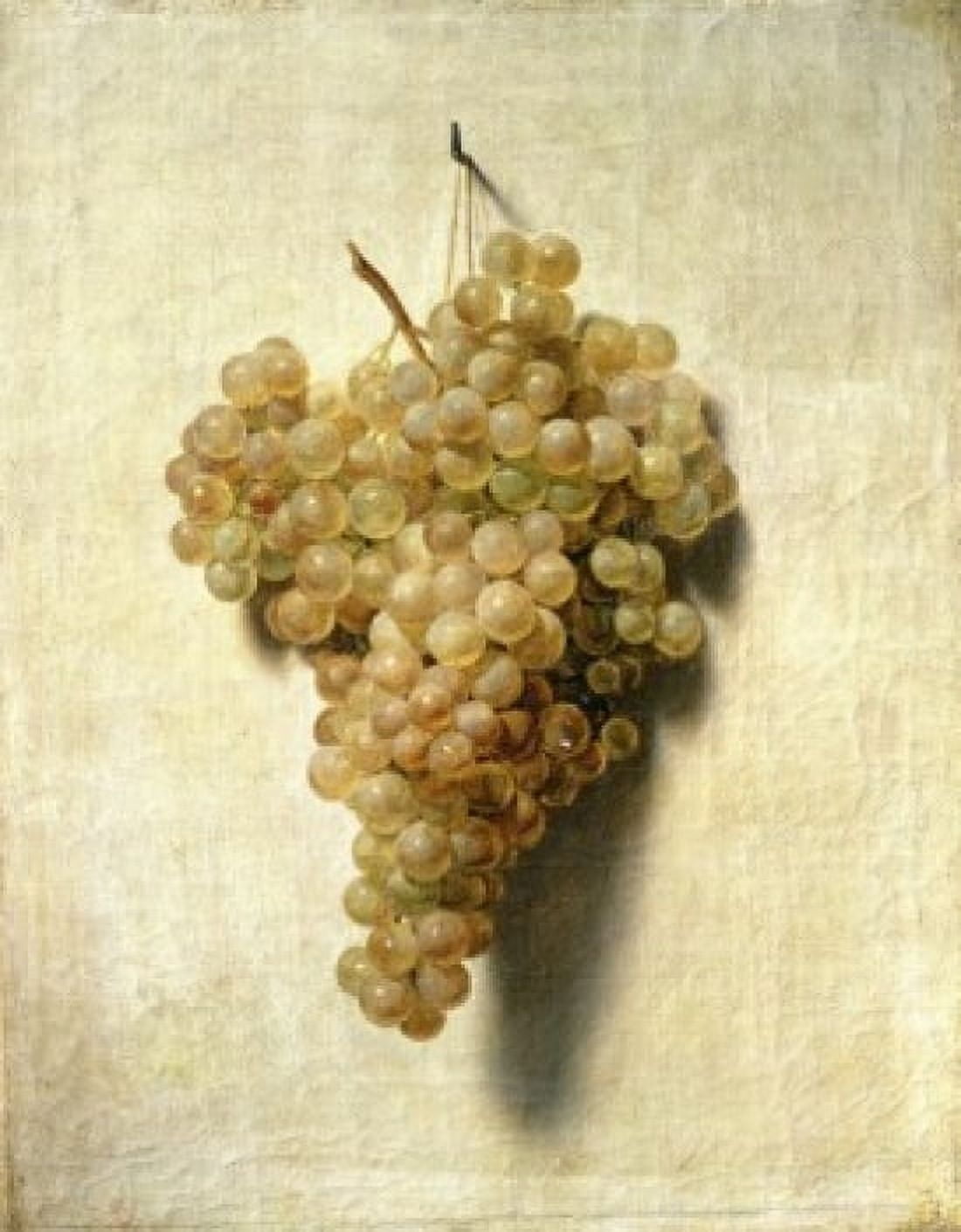 Posterazzi White Grapes  (Raisons Blancs)  Louis Leopold Boilly (1761-1845French)  Musee des Beaux-Arts Rouen Canvas Art - Louis Leopold Boilly (24 x 36)