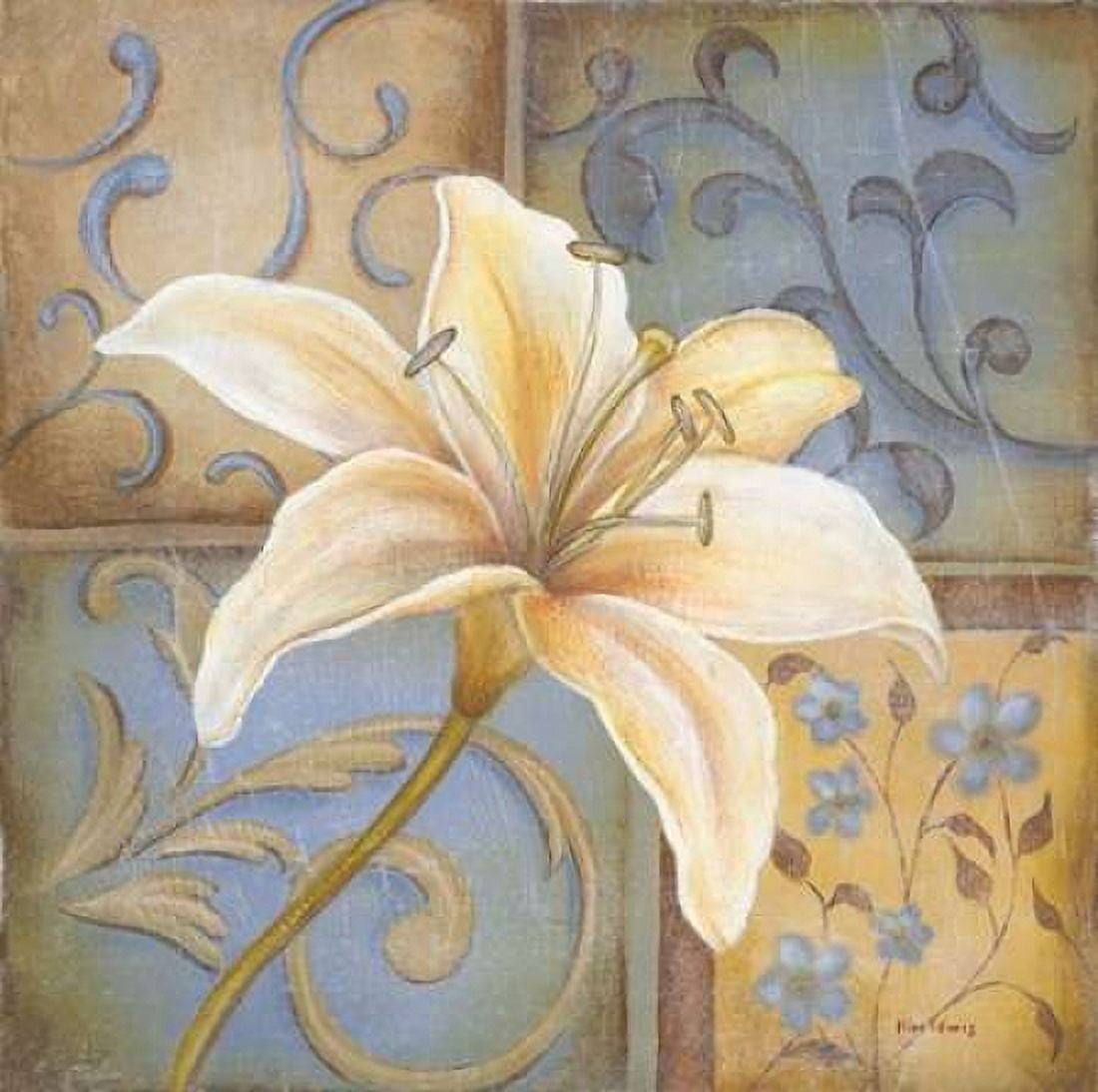 Posterazzi White Lily Canvas Art - Kim Lewis (24 x 24)