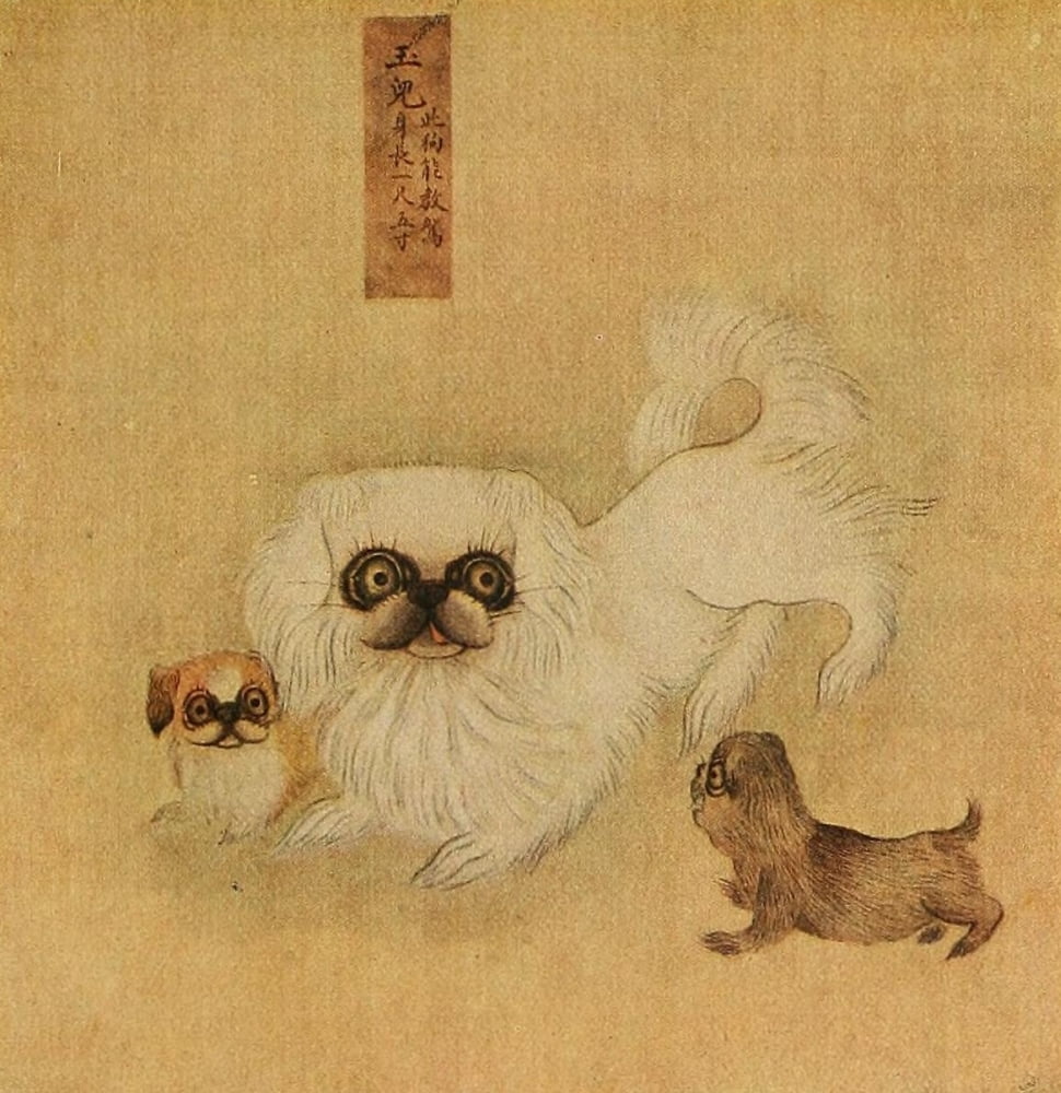 Posterazzi White Pekingese Dogs of China & Japan in Nature & Art 1921 Canvas Art - Unknown (24 x 36)