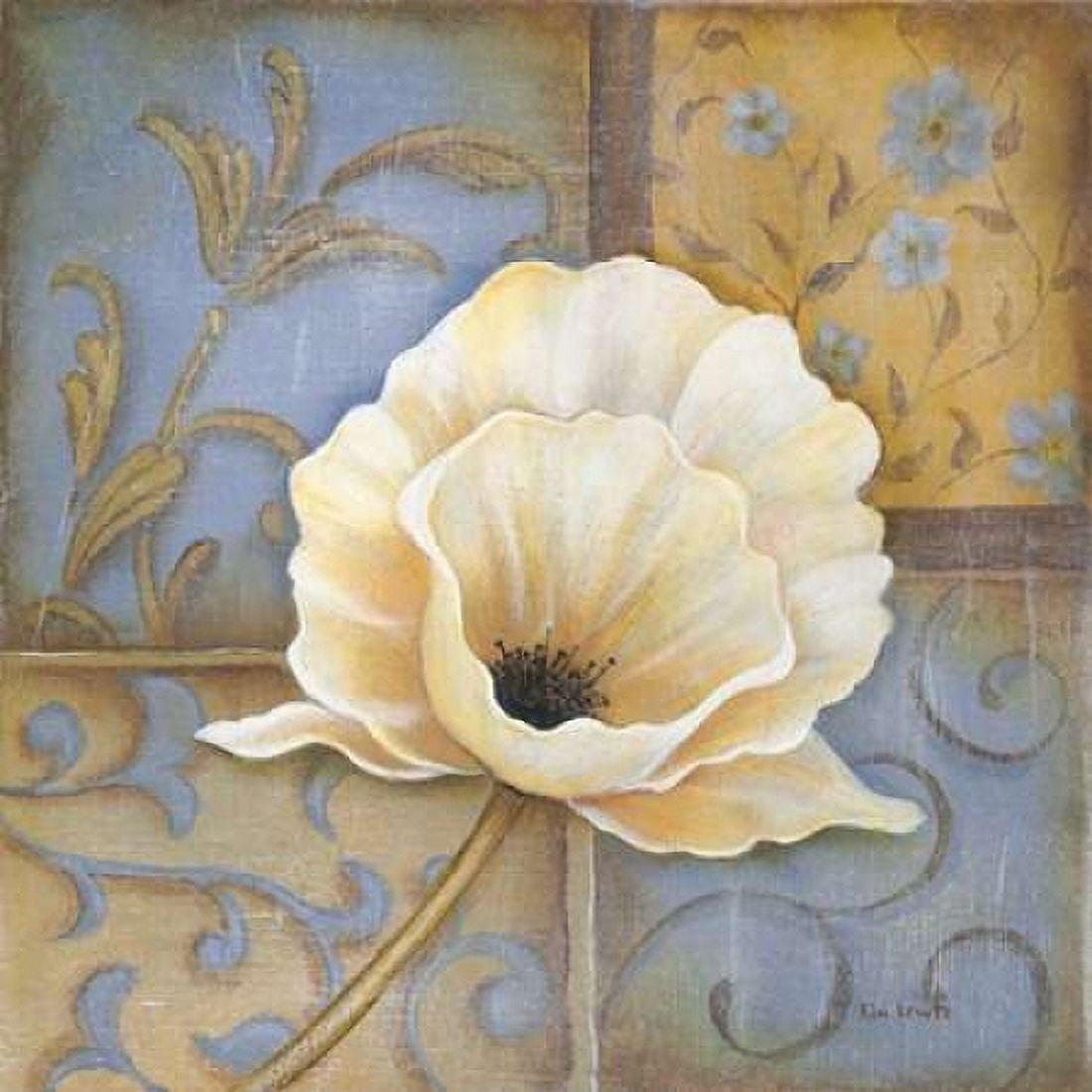 Posterazzi White Poppy Canvas Art - Kim Lewis (24 x 24)