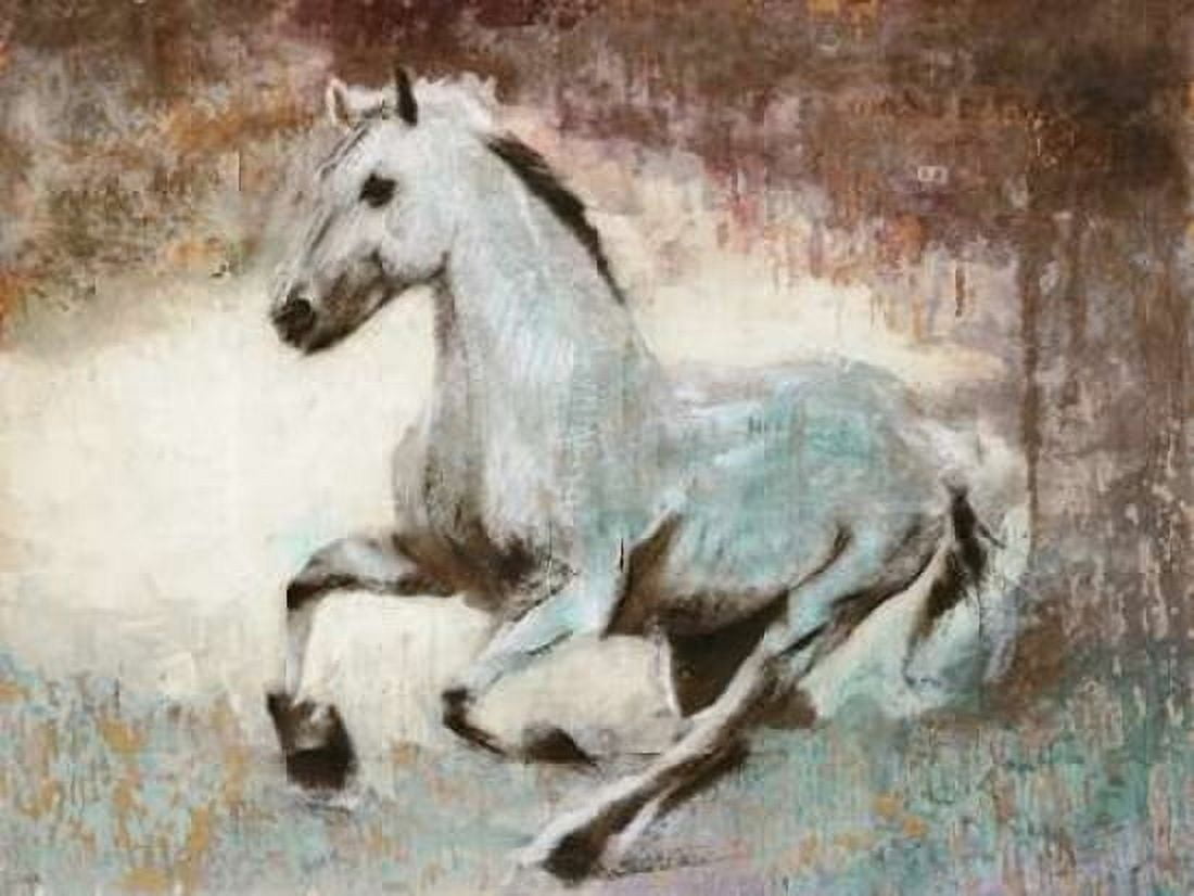 Posterazzi White Star Canvas Art - Dario Moschetta (22 x 28)