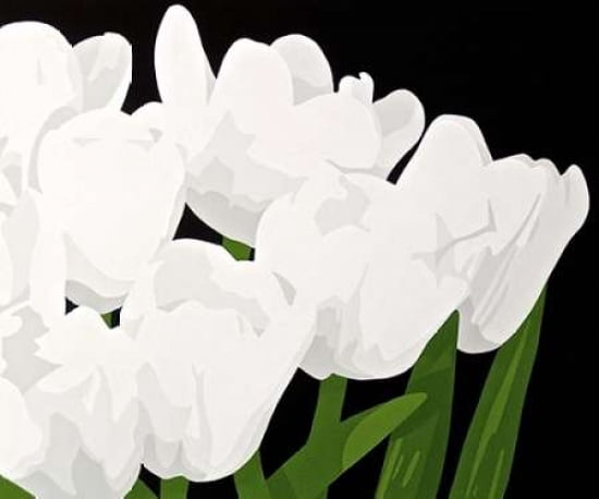 Posterazzi White Tulips Canvas Art - Susan Porter (20 x 24)