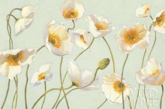 Posterazzi White and Bright Poppies Canvas Art - Shirley Novak (24 x 36)