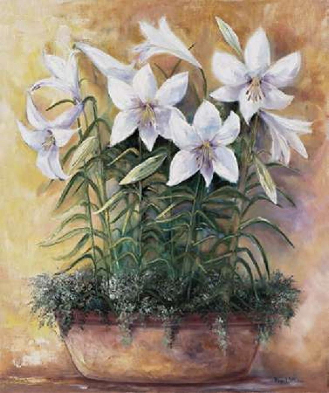 Posterazzi White lilies in bowl Canvas Art - Rian Withaar (20 x 24)