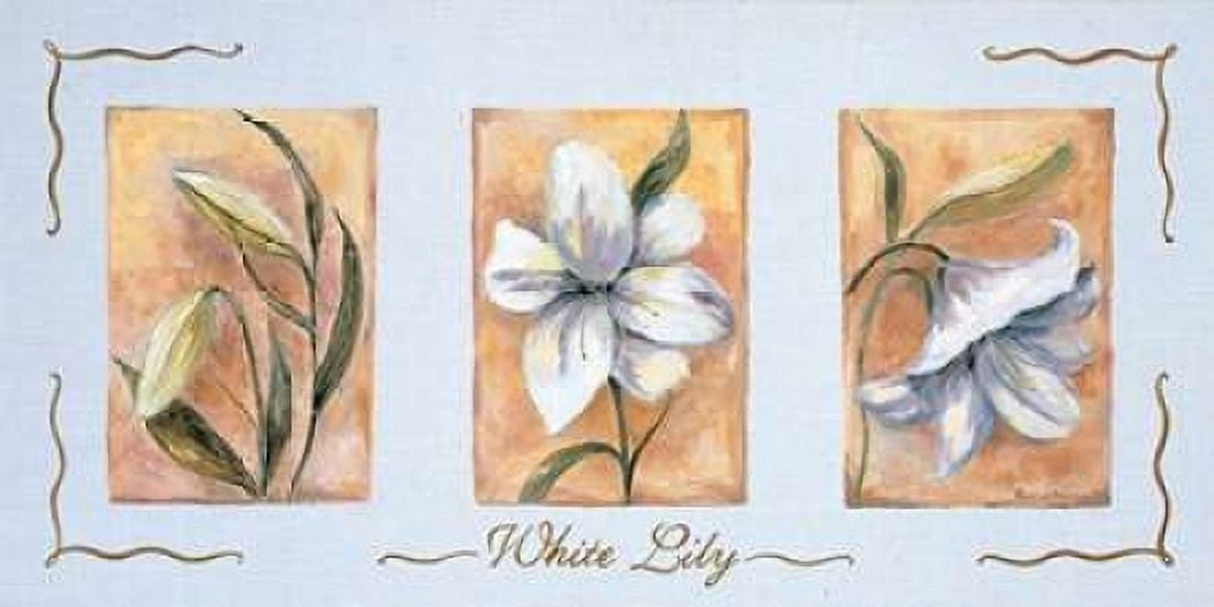 Posterazzi White lily Triptychon Canvas Art - Rian Withaar (24 x 48)