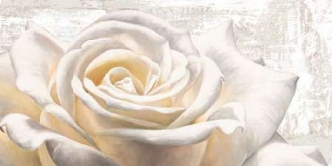 Posterazzi White on White Canvas Art - Jenny Thomlinson (24 x 48)