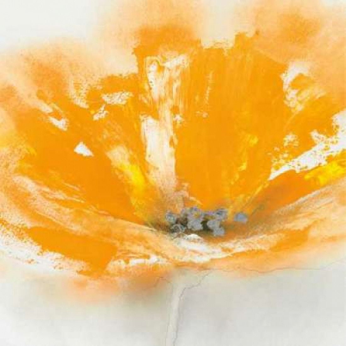 Posterazzi Wild Orange Sherbet I Canvas Art - JP Prior (24 x 24)