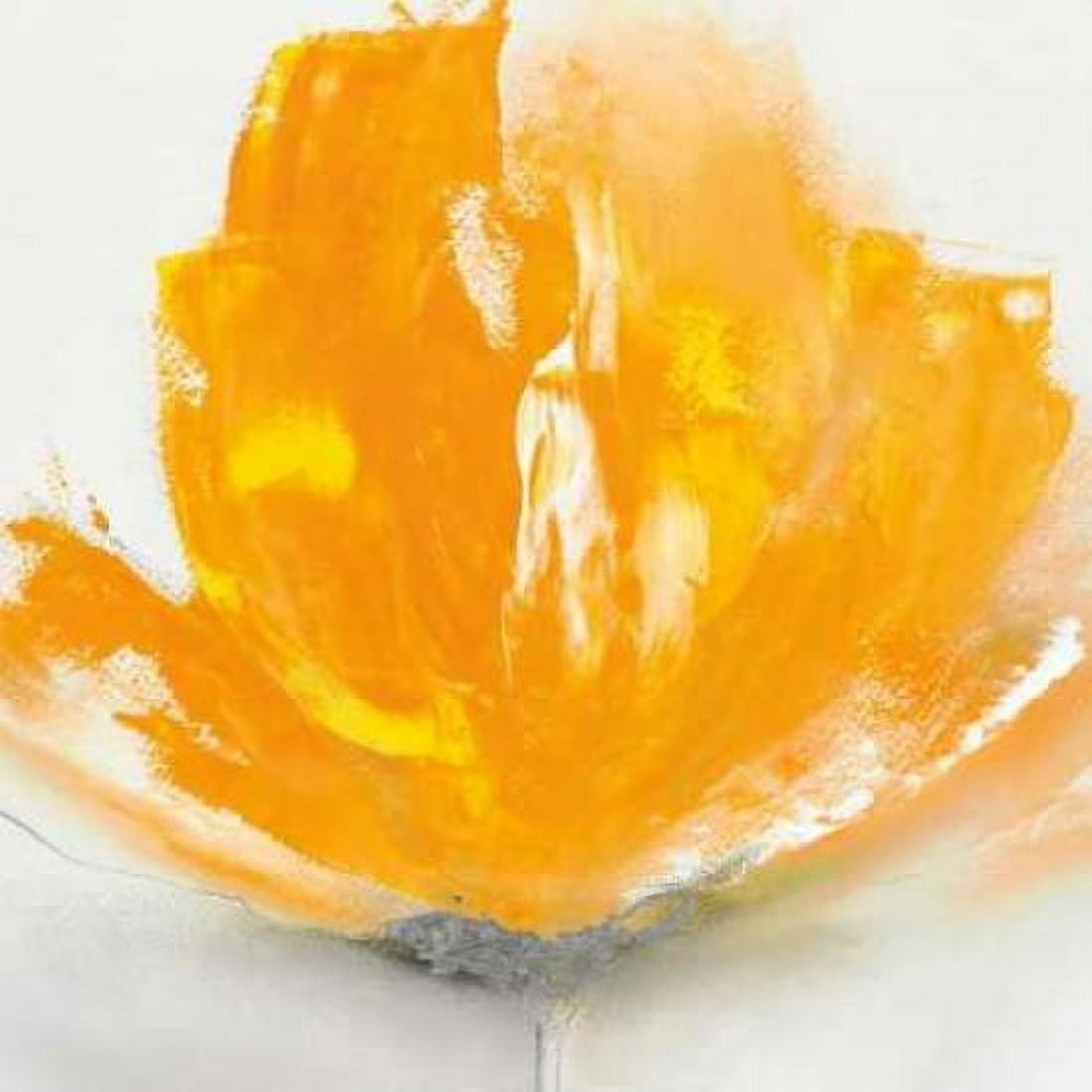 Posterazzi Wild Orange Sherbet II Canvas Art - JP Prior (24 x 24)