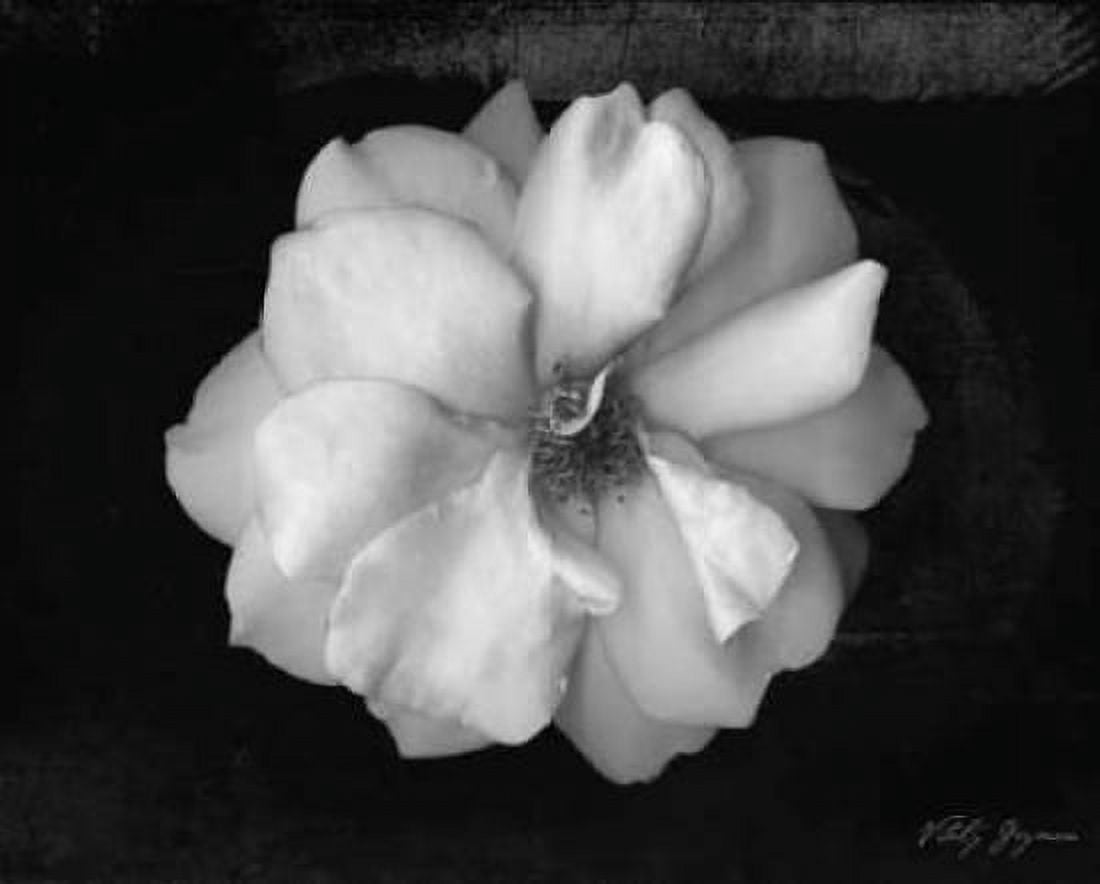 Posterazzi Wild Rose Canvas Art - Vitaly Geyman (20 x 24)