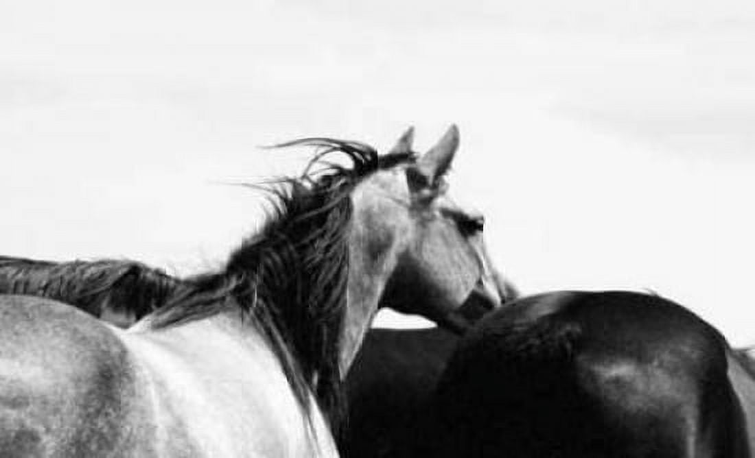Posterazzi Wild Whispers I Canvas Art - Peggy Corpeny (24 x 36)
