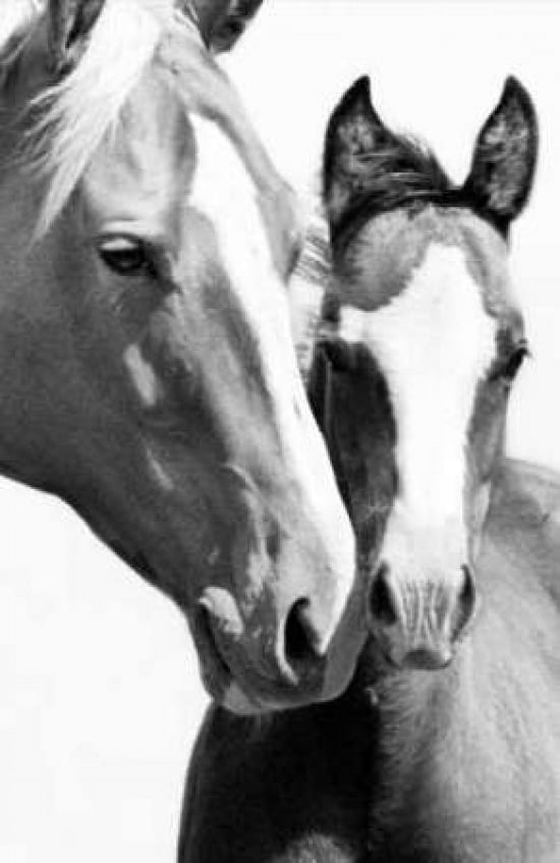 Posterazzi Wild Whispers I Canvas Art - Peggy Corpeny (24 x 36)