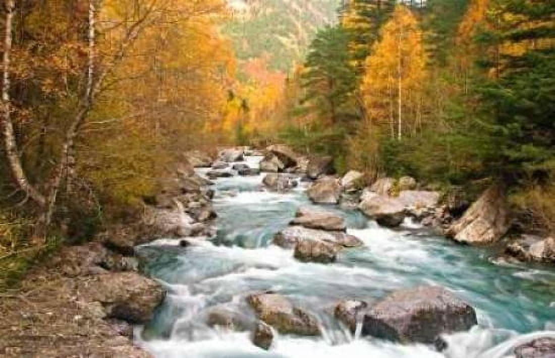 Posterazzi Wild river 830 Canvas Art - JA Palacios (24 x 36)