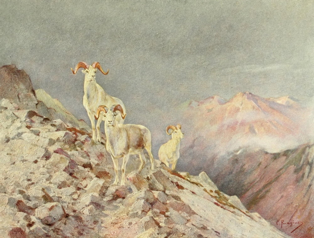 Posterazzi Wilderness of the Upper Yukon 1919 Rams Canvas Art - Carl Rungius (24 x 36)