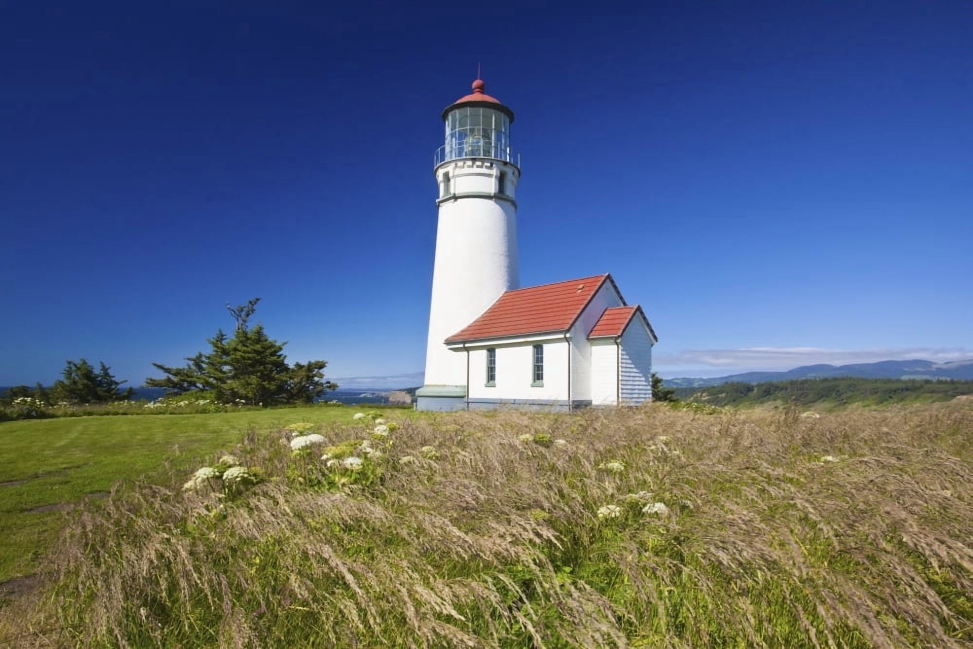 Posterazzi Wildflowers And Cape Blanco Lighthouse Cape Blanco Oregon United States of America Canvas Art - Craig Tuttle  Design Pics (38 x 24)