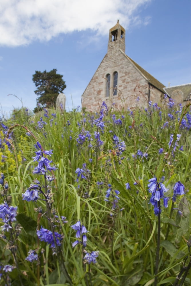 Posterazzi Wildflowers In Front Of A Stone Church Bamburgh Northumberland England Canvas Art - John Short Design Pics (24 x 38)
