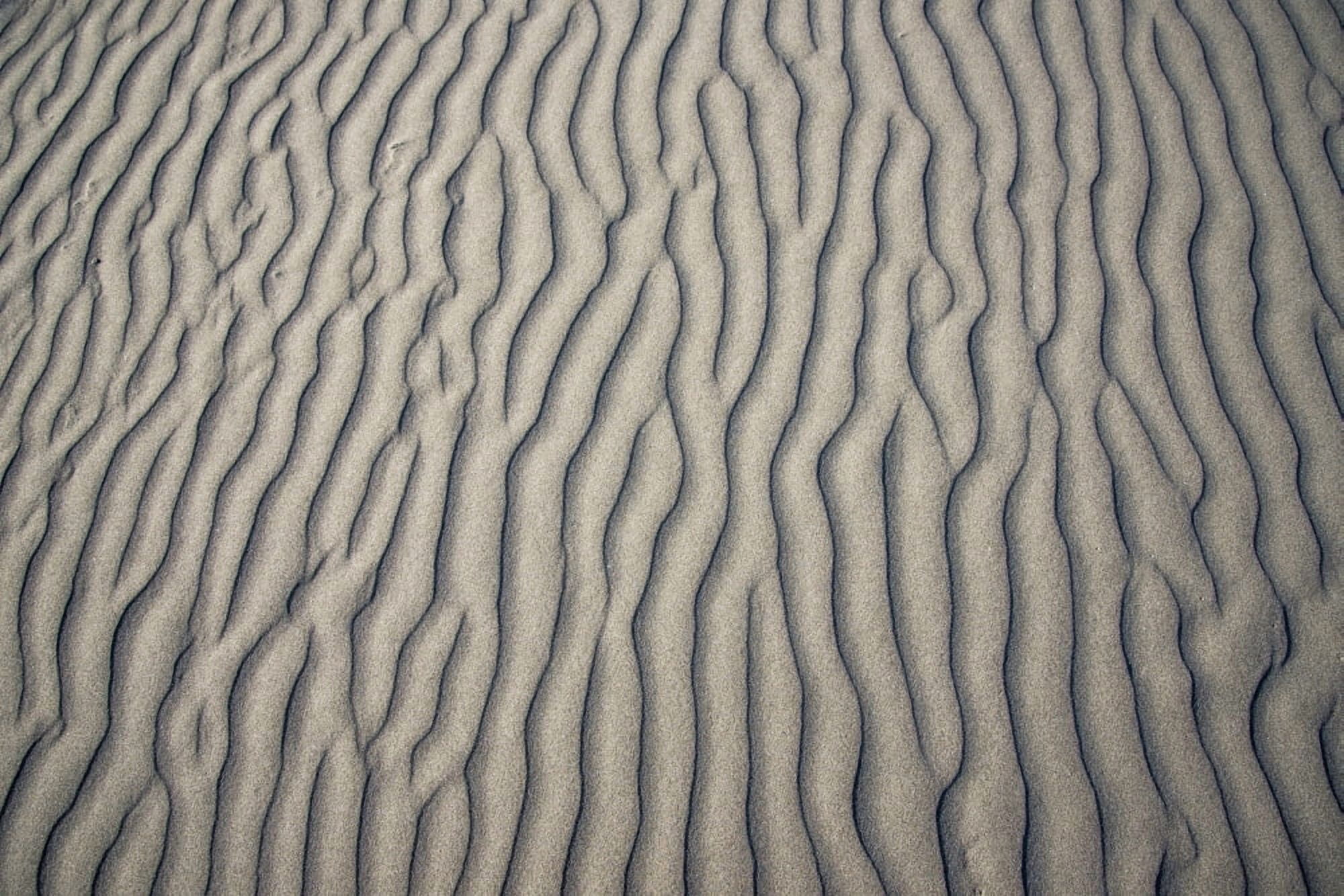 Posterazzi Wind makes patterns on the beach Gearhart Oregon United States of America Canvas Art - Robert L Potts Design Pics (36 x 24)