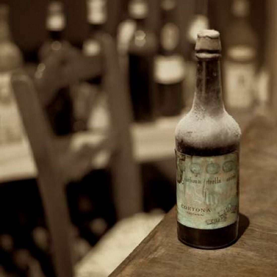Posterazzi Wine - 2 Canvas Art - Alan Blaustein (24 x 24)