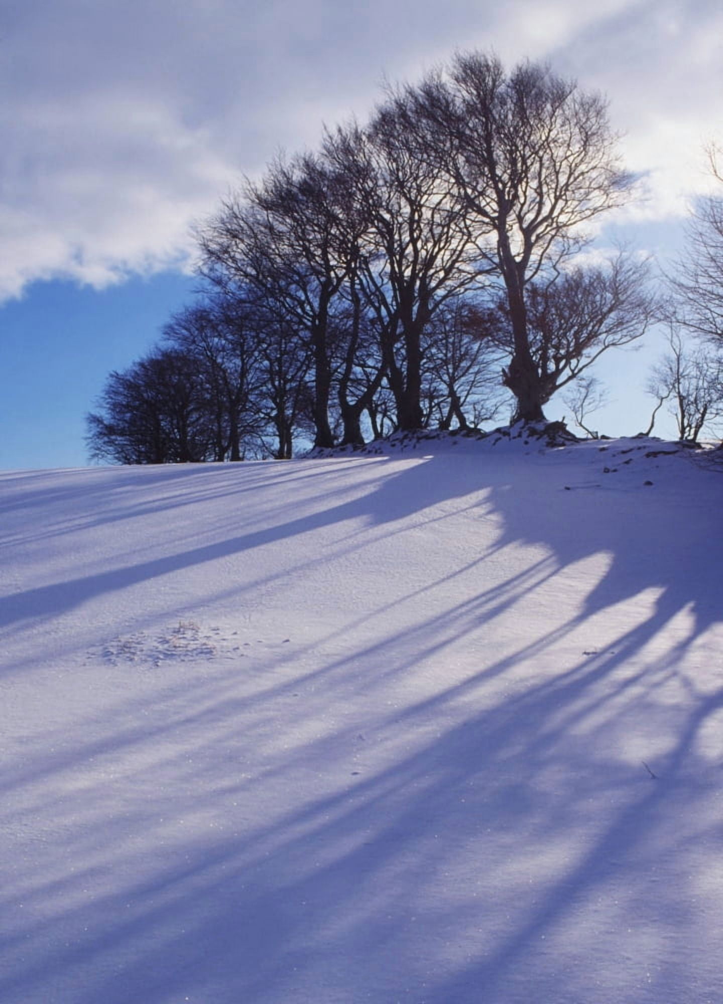 Posterazzi Winter Landscape Canvas Art - The Irish Image Collection Design Pics (26 x 36)