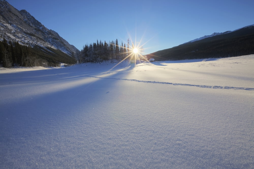 Posterazzi Winter Morning With Fresh Snow Covering Frozen Medicine Lake Jasper National Park Alberta Canvas Art - Dan Jurak  Design Pics (34 x 22)