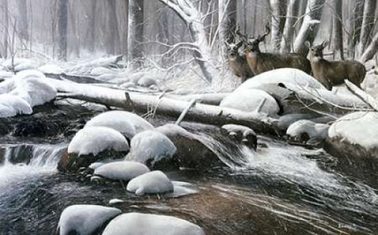 Posterazzi Winter Silence Canvas Art - Kevin Daniel (24 x 36)