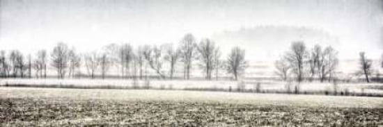 Posterazzi Winter Silence Canvas Art - Todd McPhetridge (12 x 36)