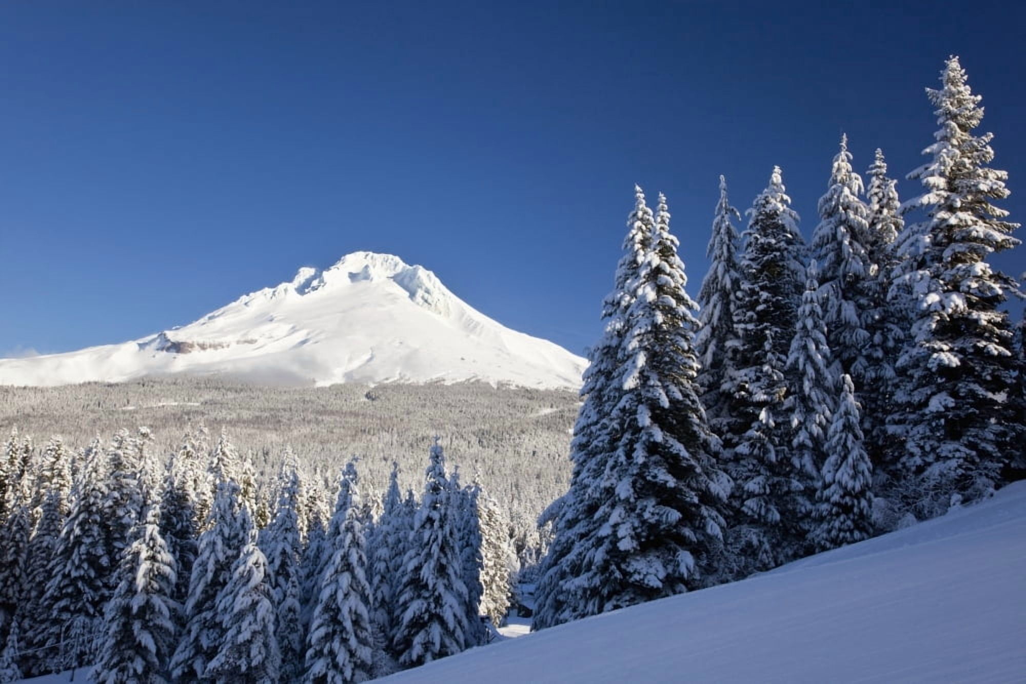 Posterazzi Winter Snow Over The Cascade Range Mount Hood Oregon Usa Canvas Art - Craig Tuttle  Design Pics (38 x 24)