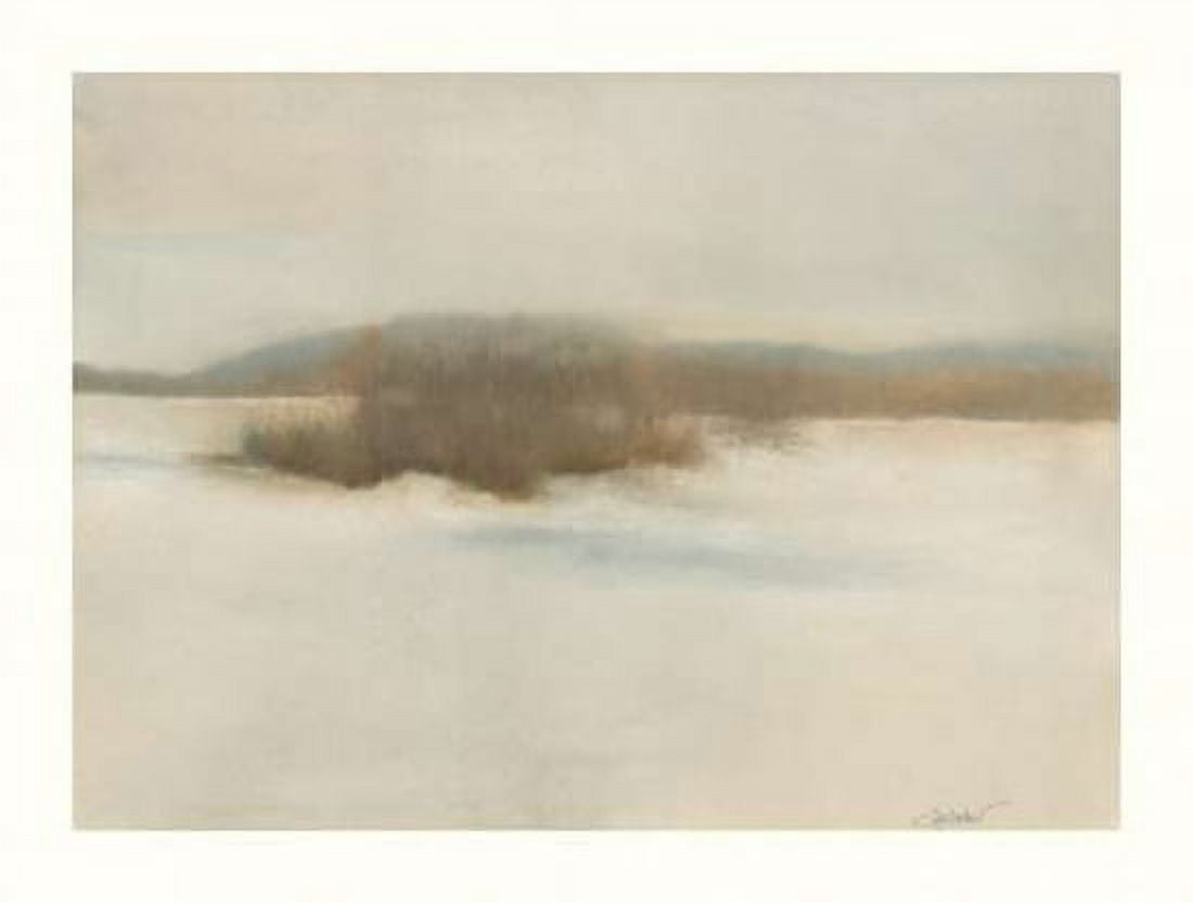 Posterazzi Winter Willows Canvas Art - Sammy Sheler (22 x 28)