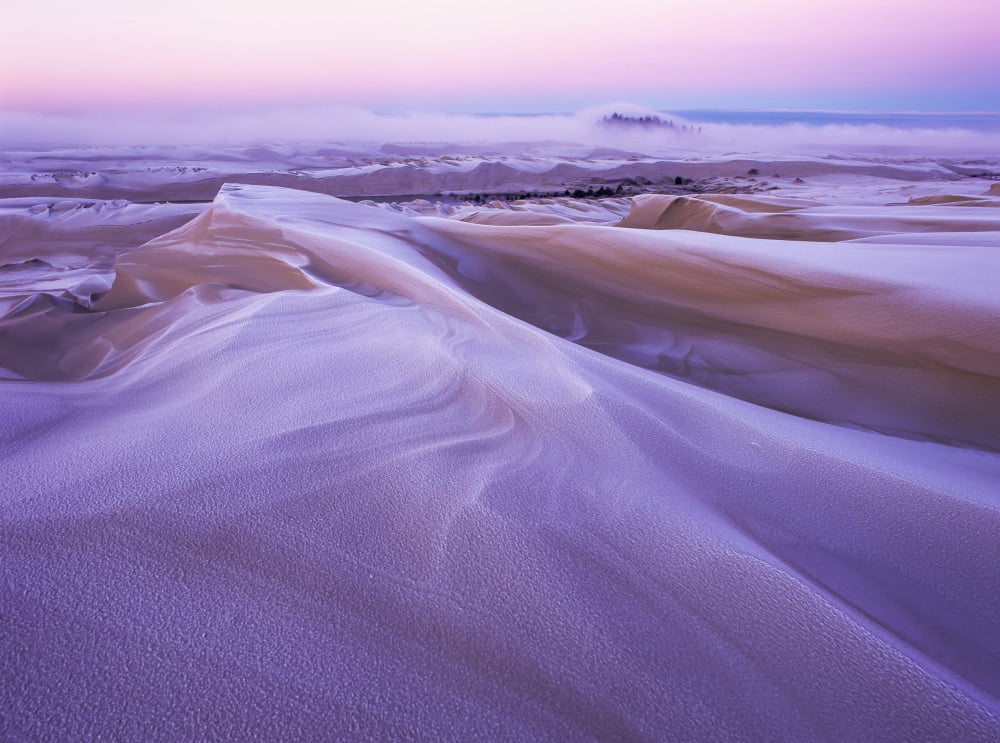 Posterazzi Winter carves and decorates the Umpqua Dunes Oregon Dunes National Recreation Area Lakeside Oregon United States of America Canvas Art - Robert L Potts Design Pics (36 x 26)